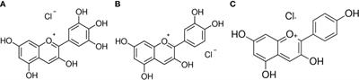 Pomegranate juice anthocyanidins induce cell death in human cancer cells by mobilizing intracellular copper ions and producing reactive oxygen species